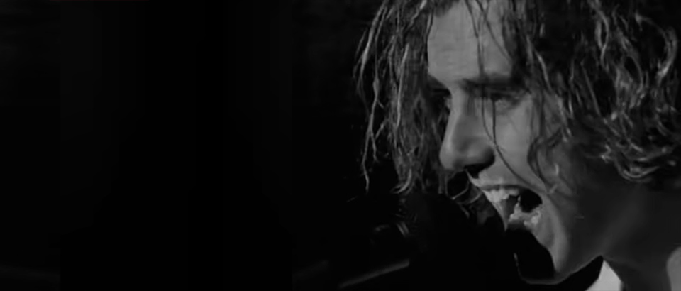 Bush Cold Contagious